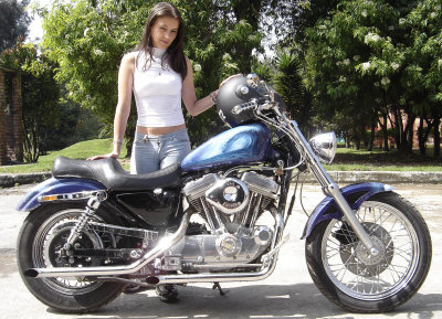 Harley-Davidson XLH Sportster 883 Custom/XL 53 C Sportster Custom