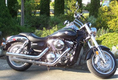 Kawasaki VN 1600 Mean Streak