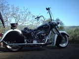 Indian Chief