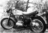 Ducati 450 Scrambler