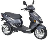 PGO T-Rex 150
